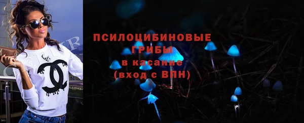 apvp Сосновый Бор