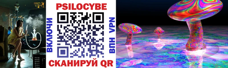 дарнет шоп shop состав Галлюциногенные грибы мухоморы Южно-Сухокумск